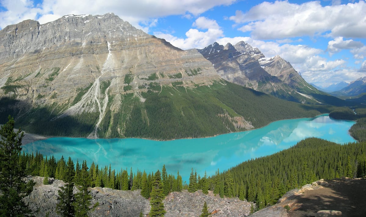 Peyto Lake seen from the lookout, Banff National Park