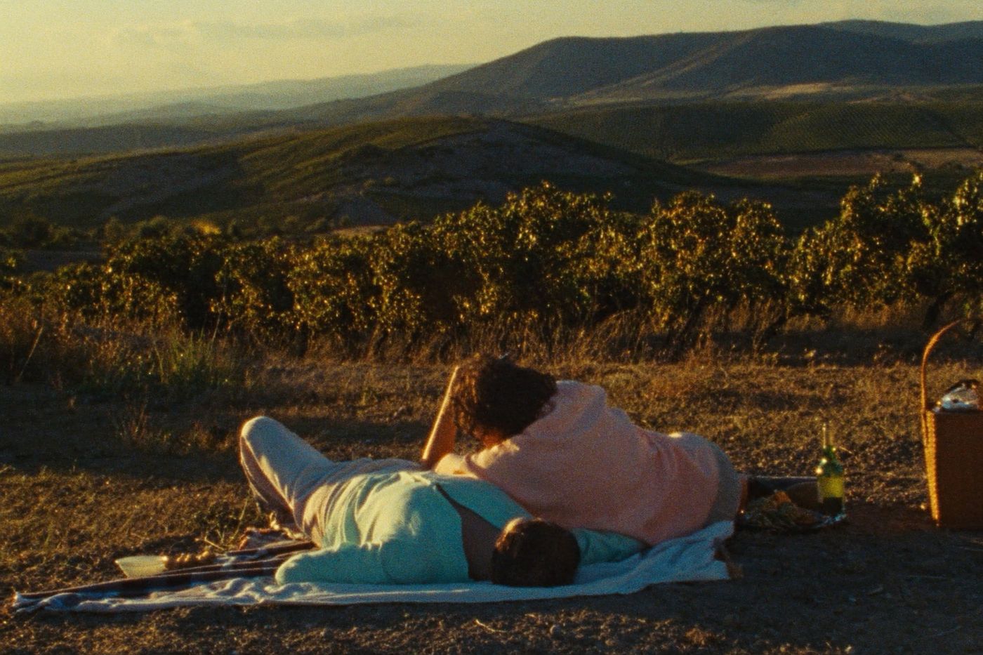 Picnic in the vines
