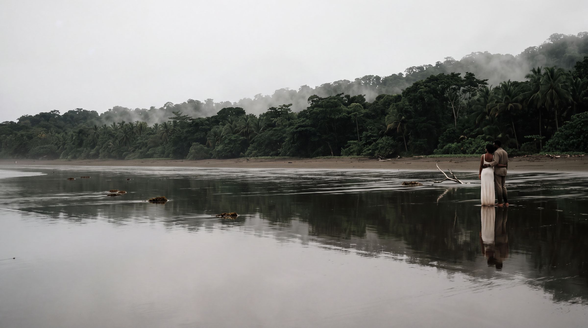 Jungle running down to a dark sand beach on the Colombian Pacific coast with mist on the water