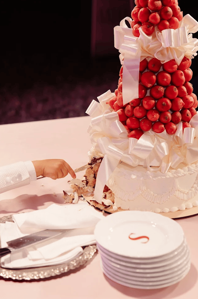 Sofia and Lucas's garden wedding, frame 40