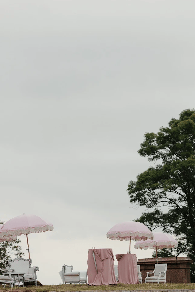Sofia and Lucas's garden wedding, frame 19