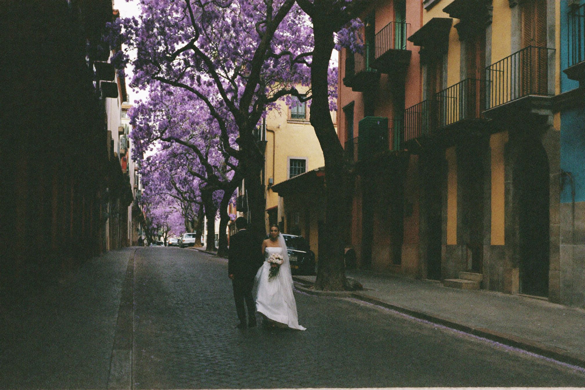 A colourful colonial street in Coyoacán with jacaranda blossom