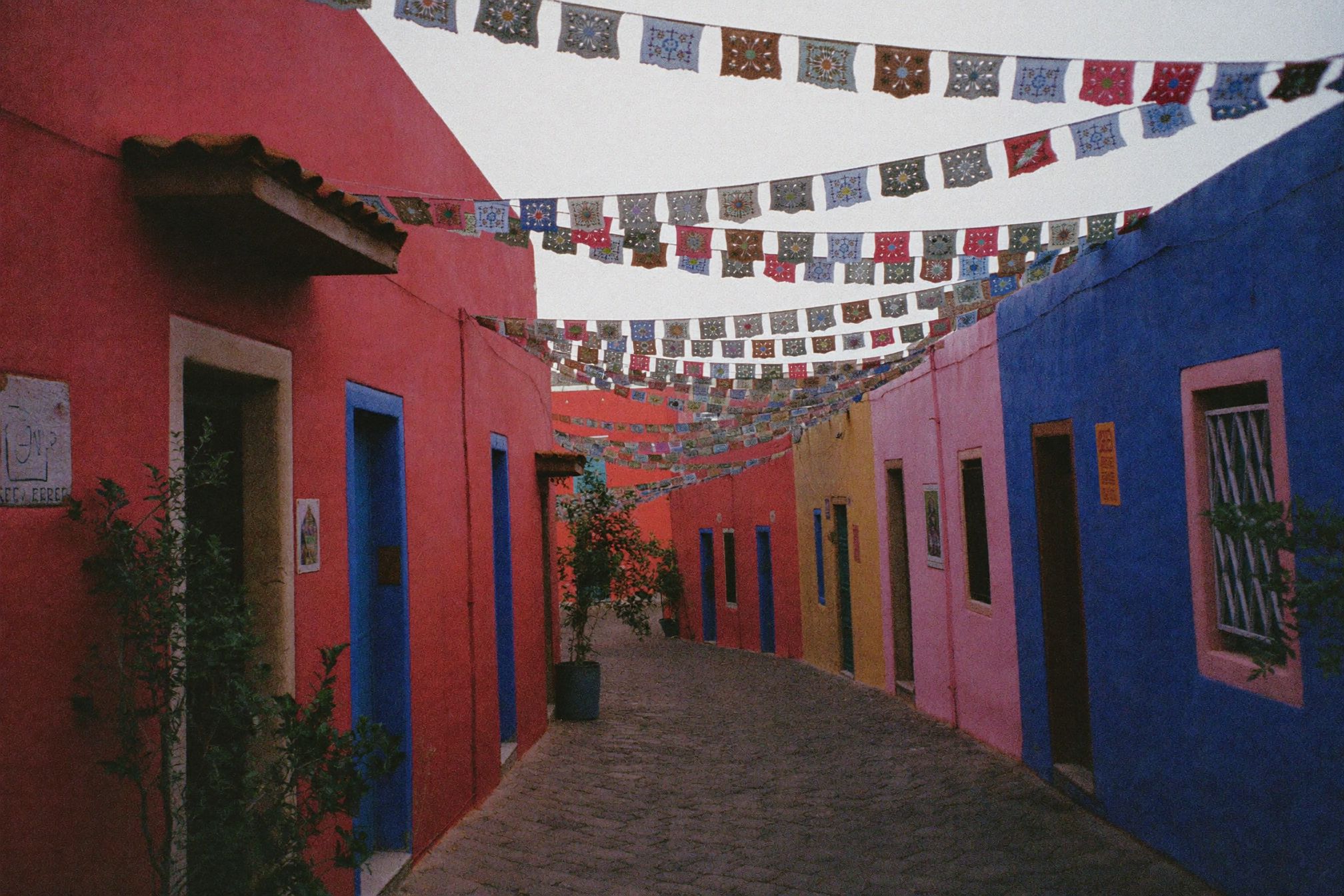 A couple in a lane of brightly painted houses in Oaxaca with paper banners overhead