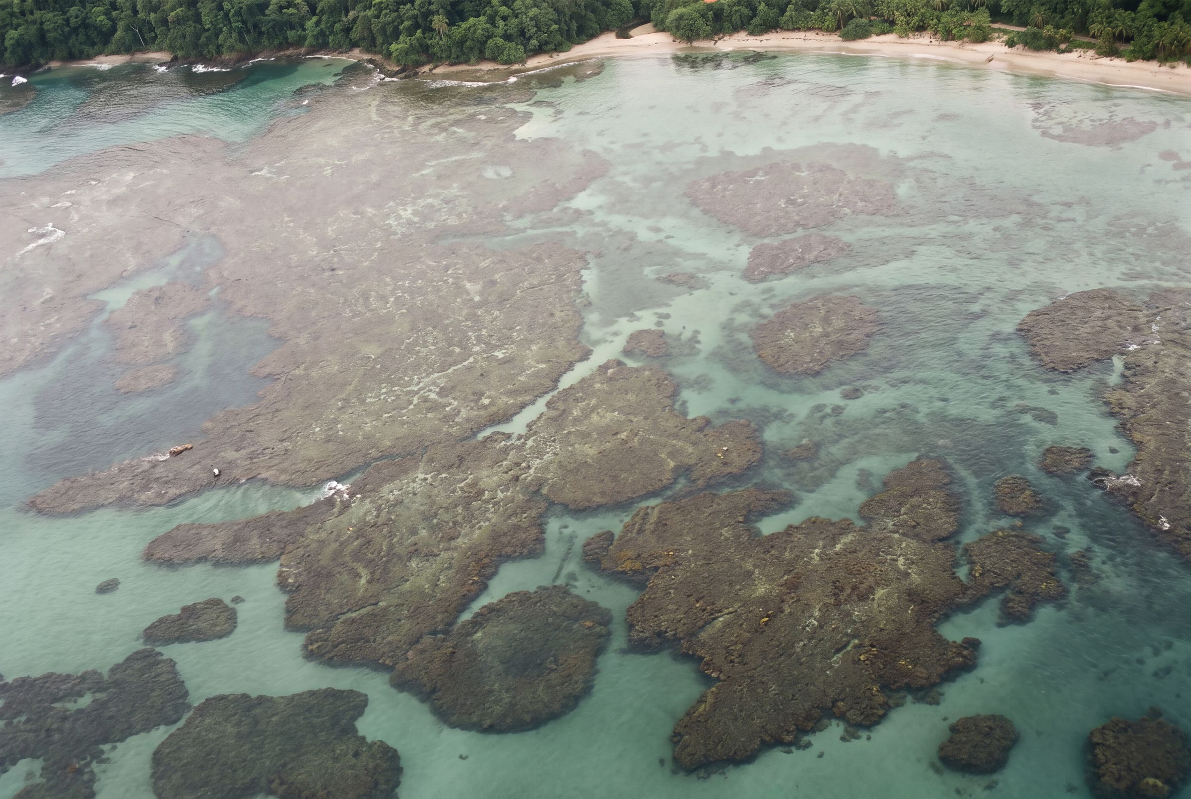 The reef seen from above with the greens and blues of the shallows