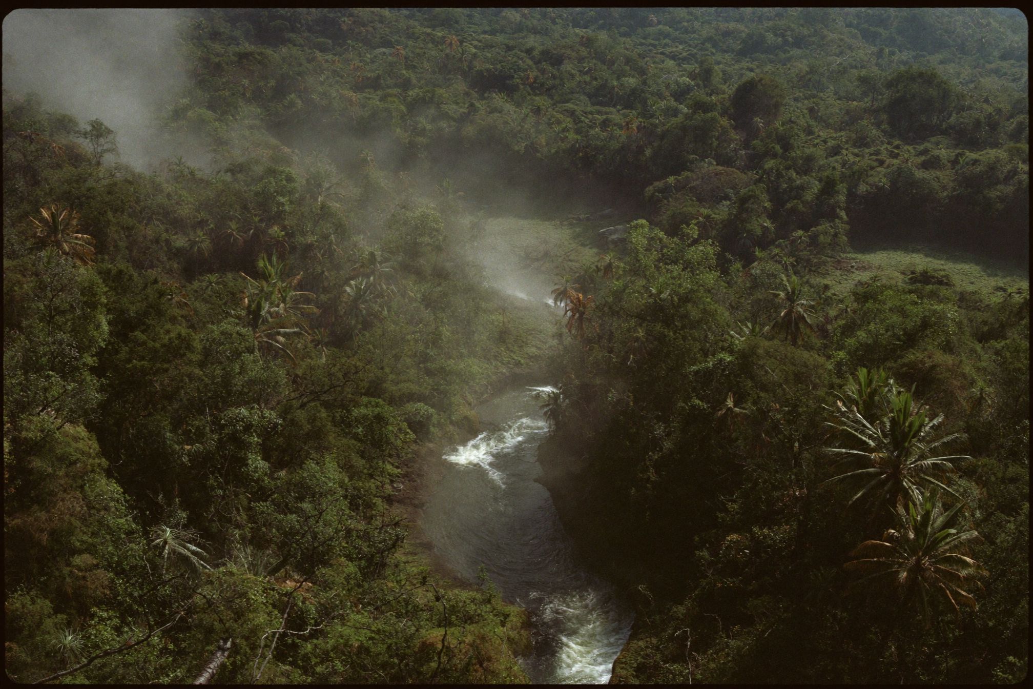 A river seen from above with mist sitting in the rainforest canopy around it