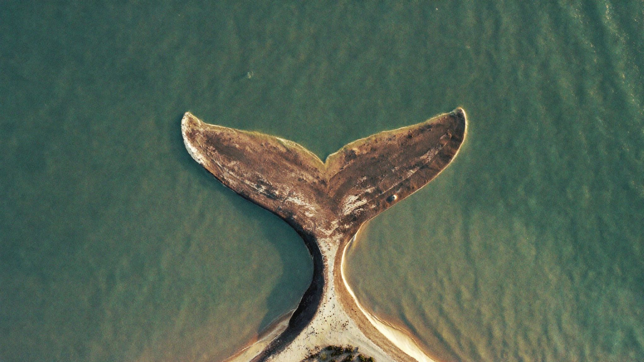 An aerial view of the Whale's Tail sandbar at Uvita on Costa Rica's Pacific coast