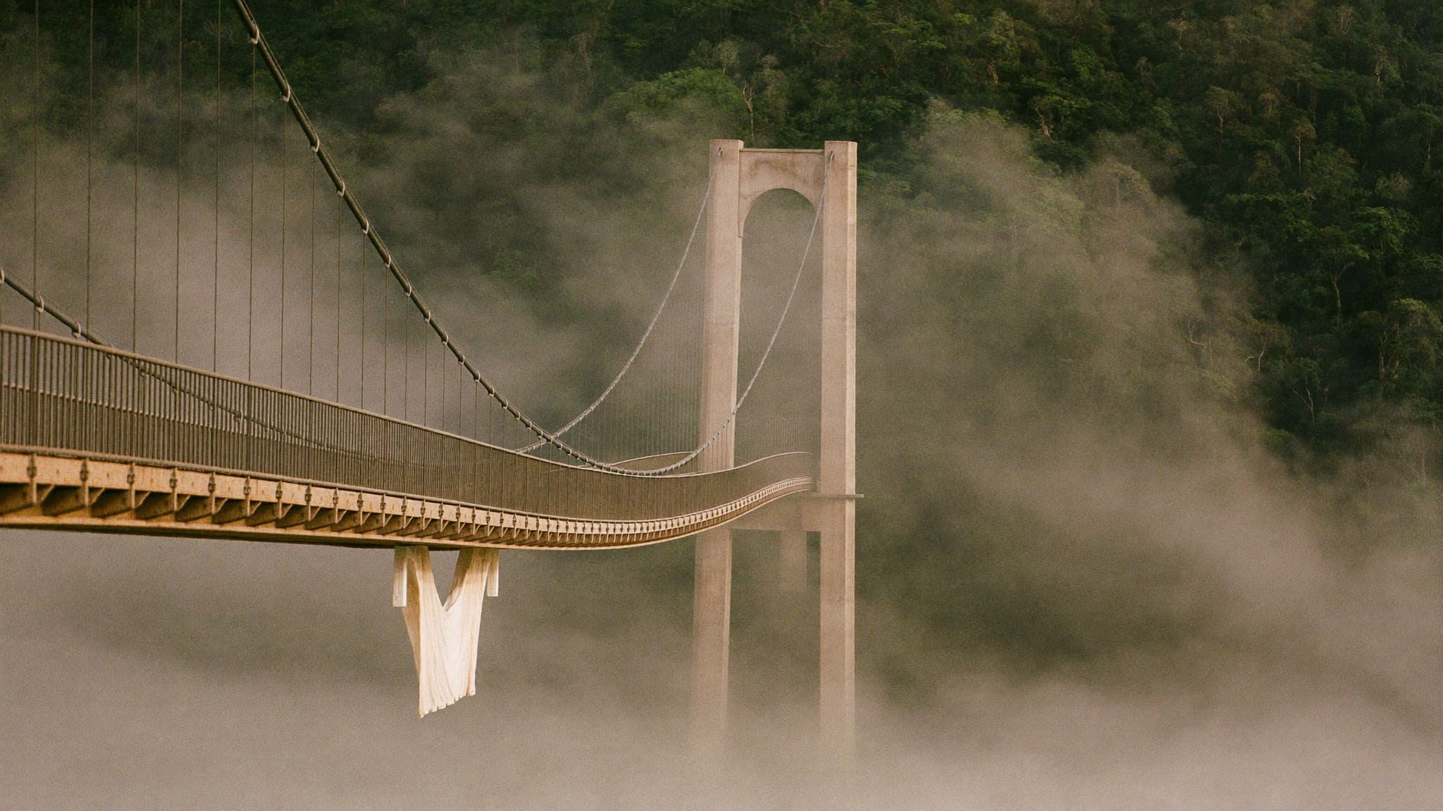 A suspension bridge disappearing into thick cloud above the forest canopy