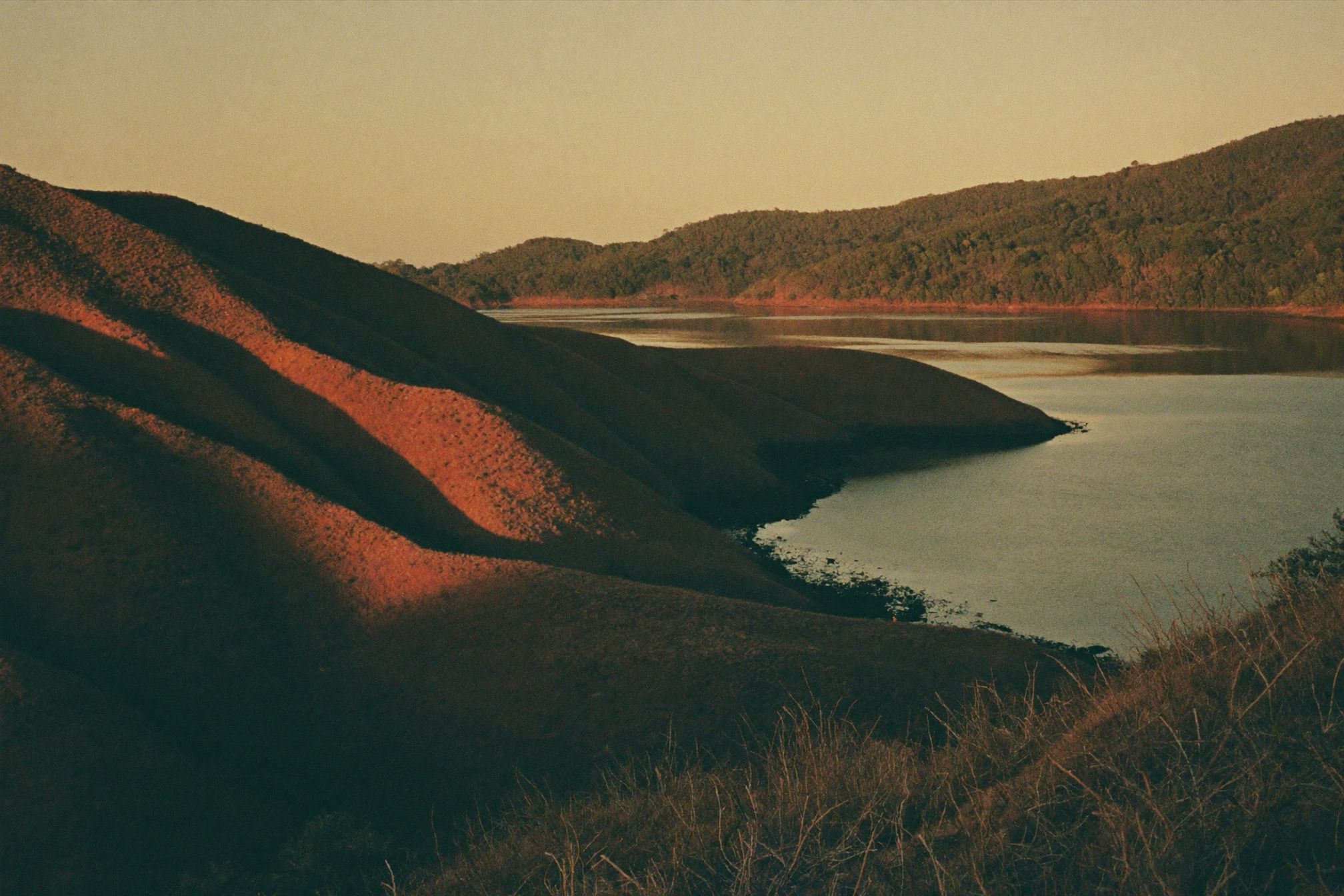 Guanacaste elopement curator | Arman Arai