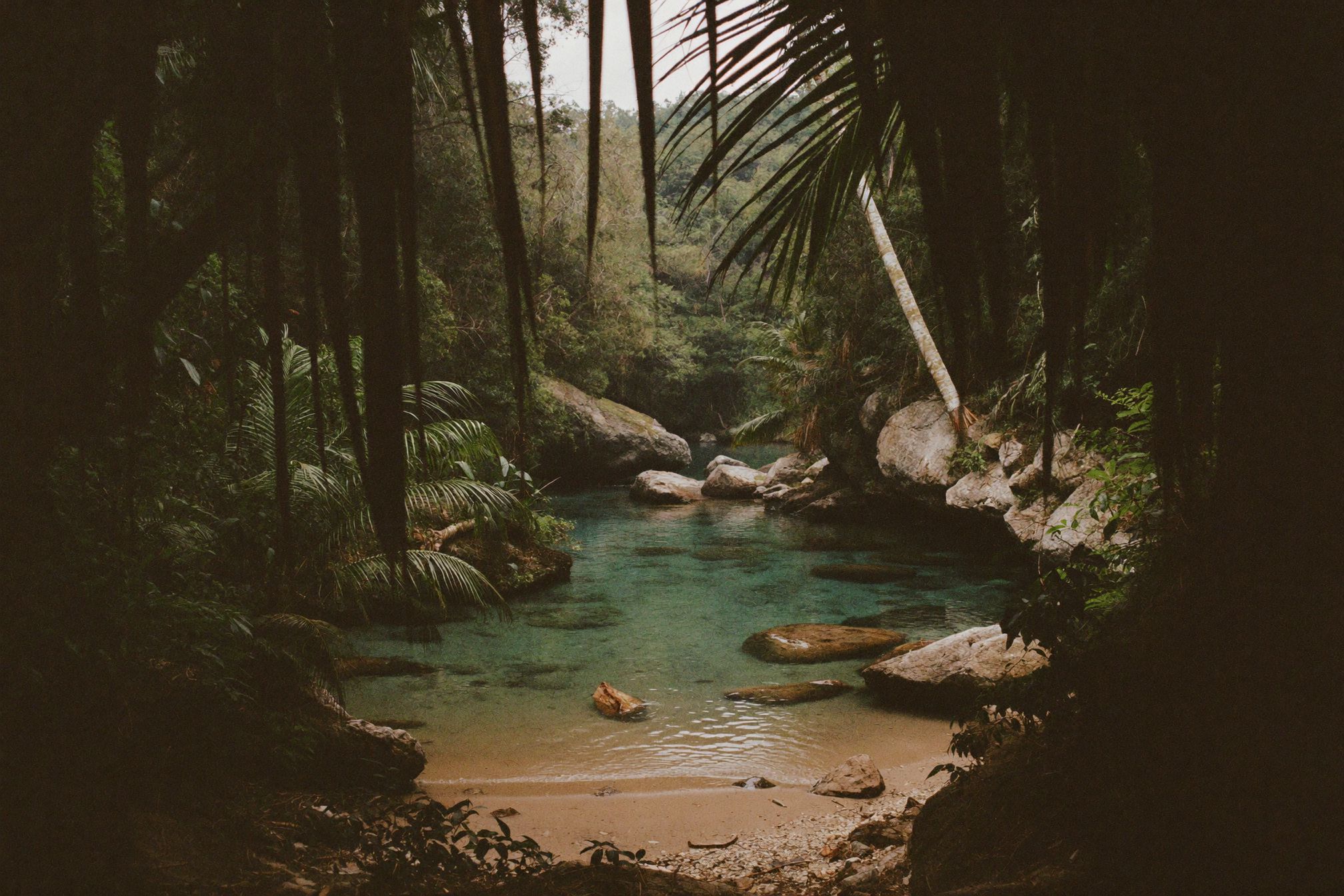 How to Elope in Manuel Antonio