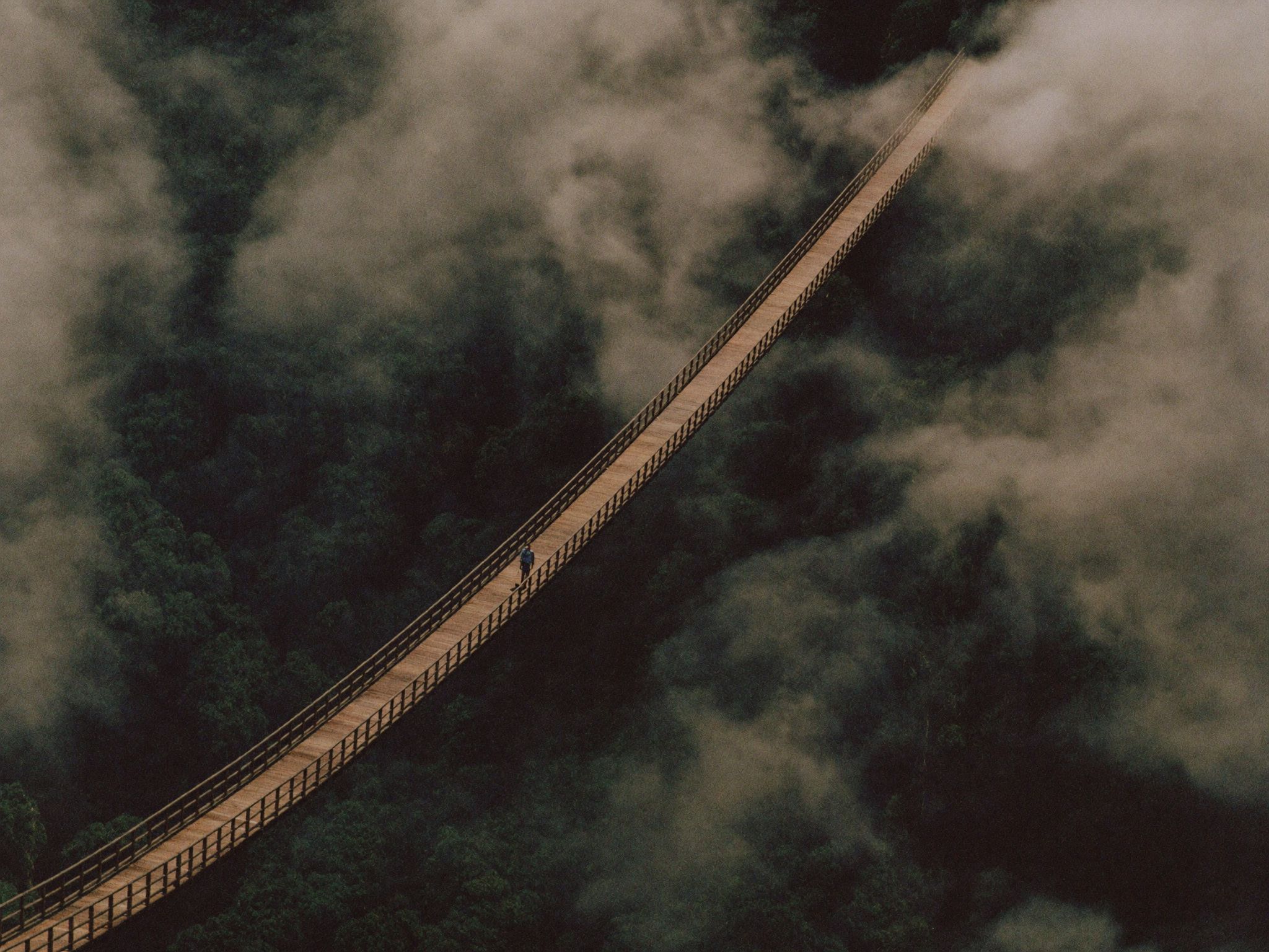 A canopy suspension bridge seen from above with cloud underneath it