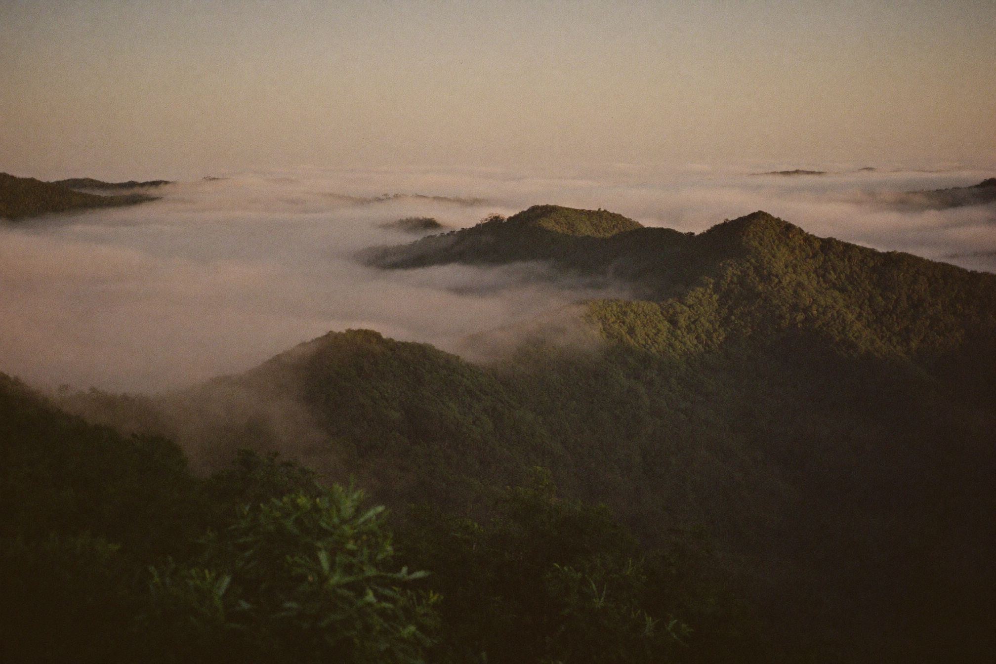 Forested ridges standing above a sea of cloud at sunrise