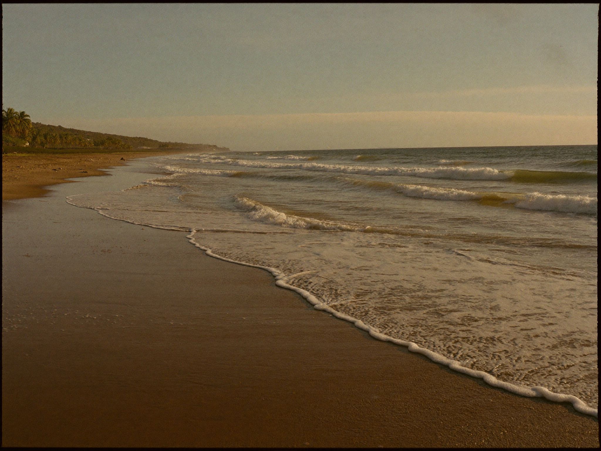A long surf beach running out of the frame with nobody on it