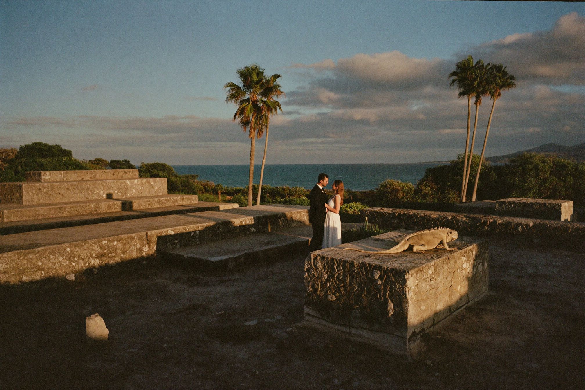 Maya ruins with iguanas among the stones in golden light