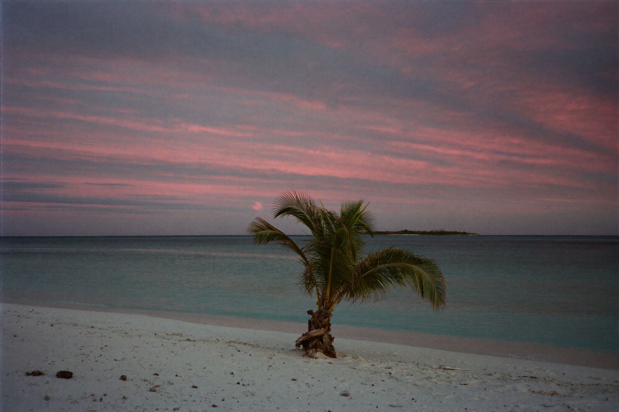 A Caribbean beach at dawn with soft light across flat water