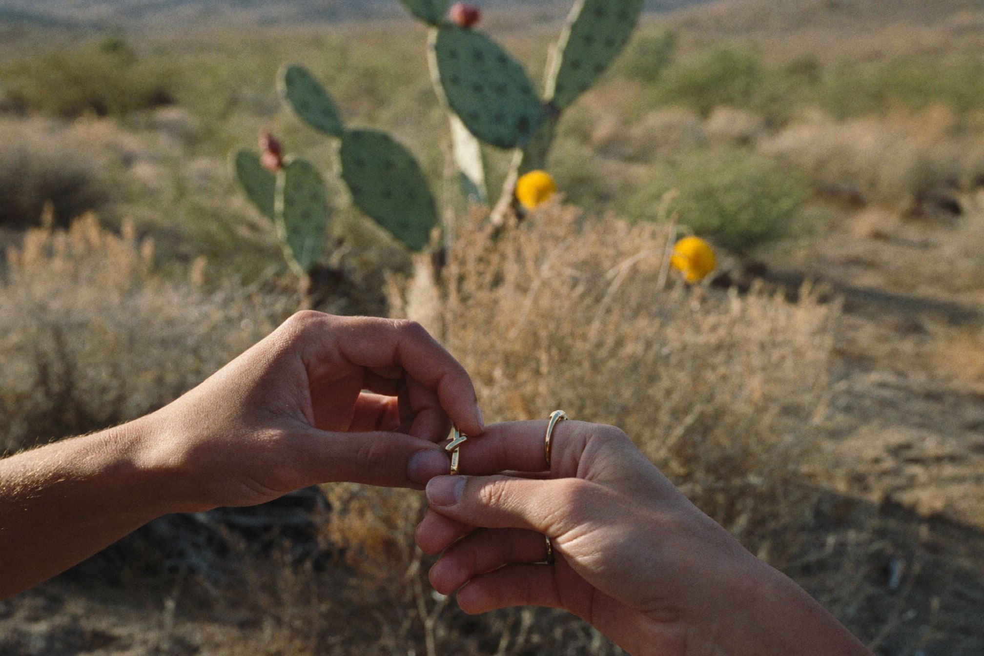 How to Elope in Los Cabos
