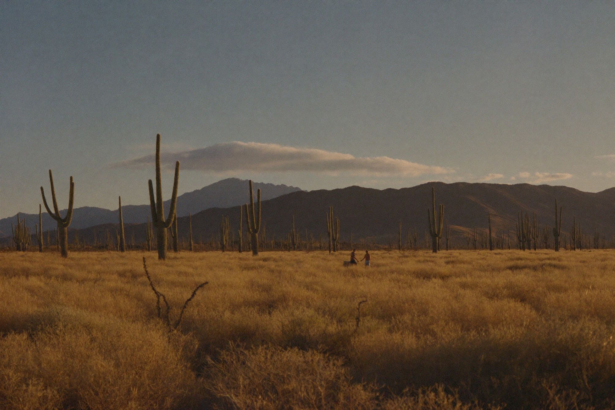 A vast Baja desert landscape with mountains in the distance