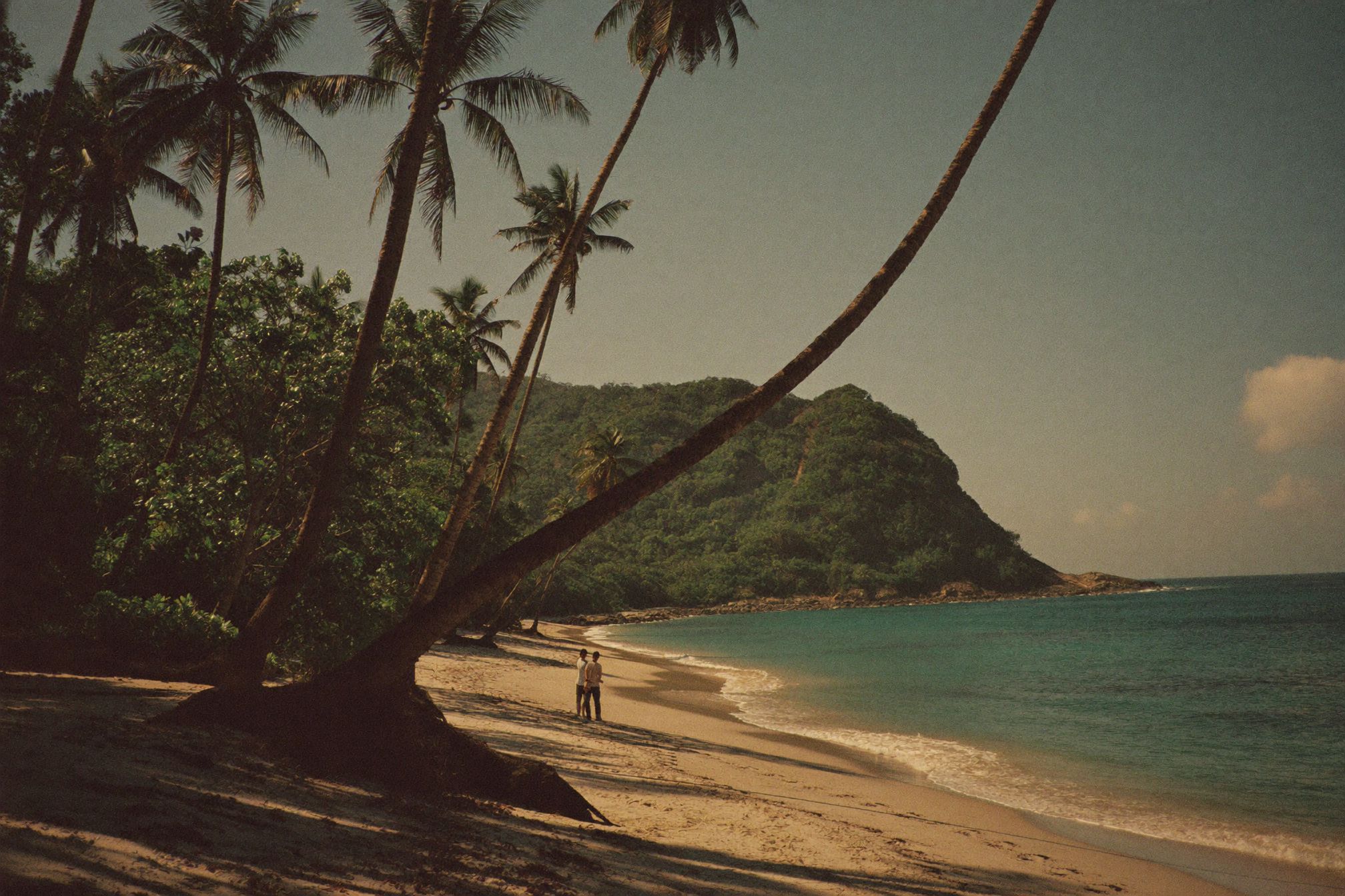 A small beach backed by dense jungle on the Nayarit coast