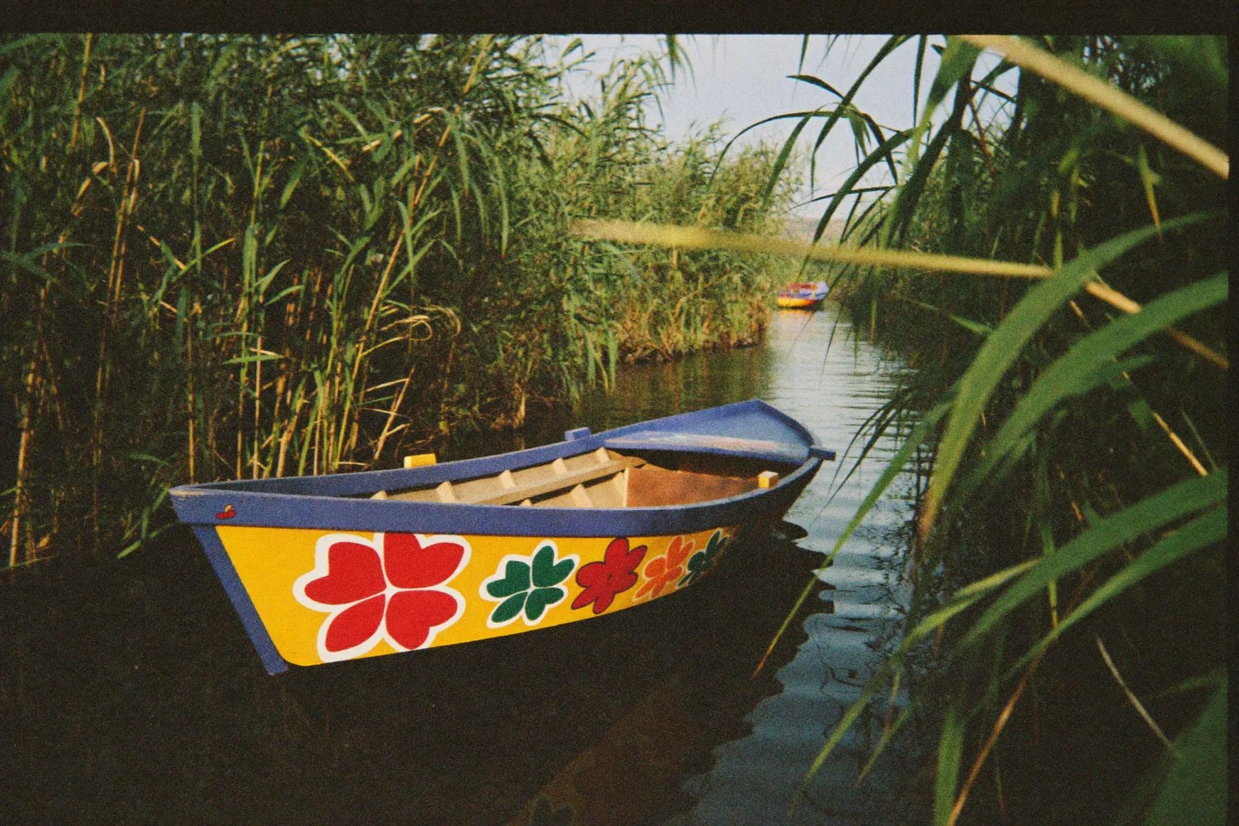 A brightly painted trajinera boat on the canals of Xochimilco in Mexico City