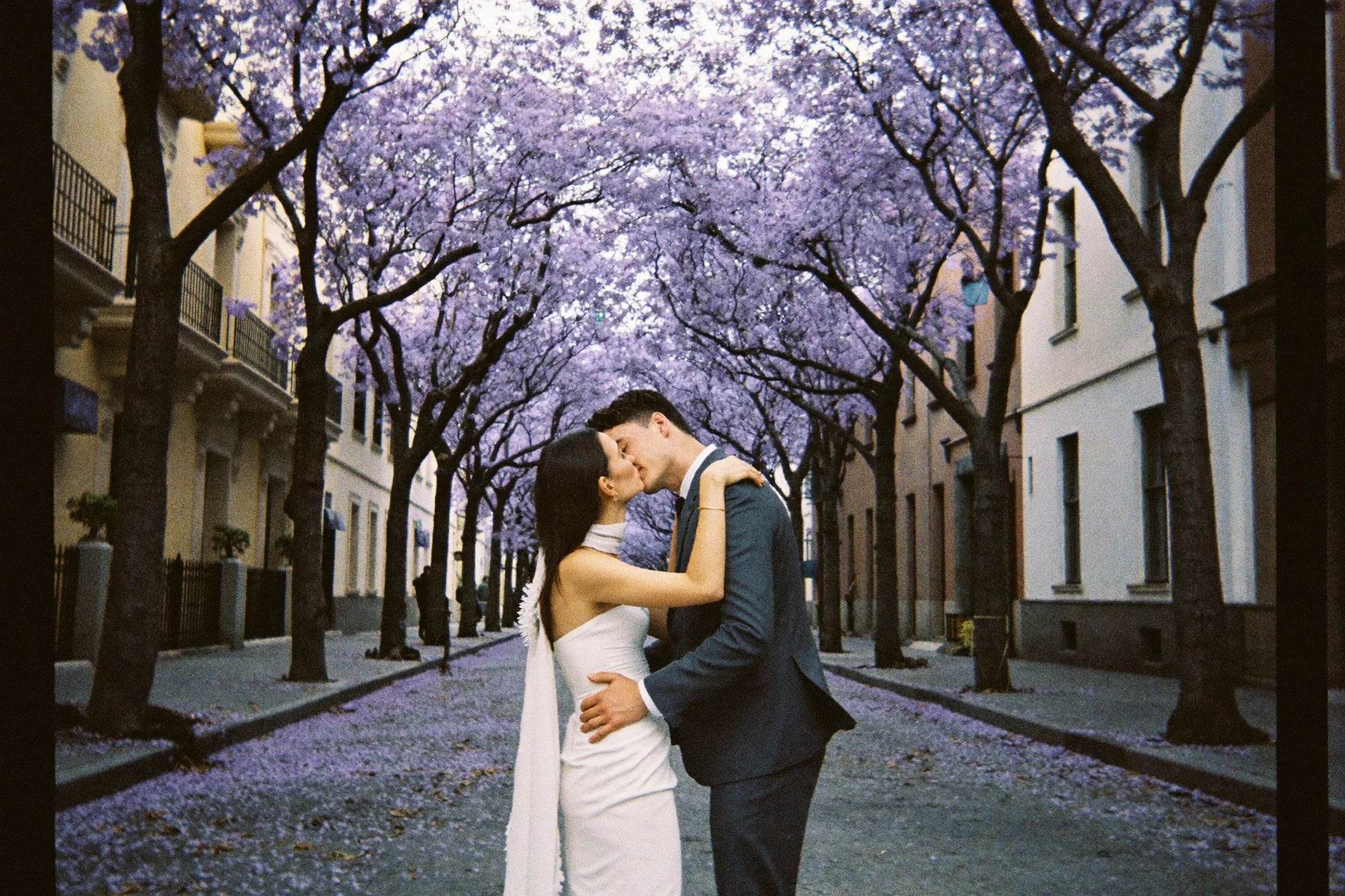 A couple under the jacaranda trees on a Mexico City street in spring
