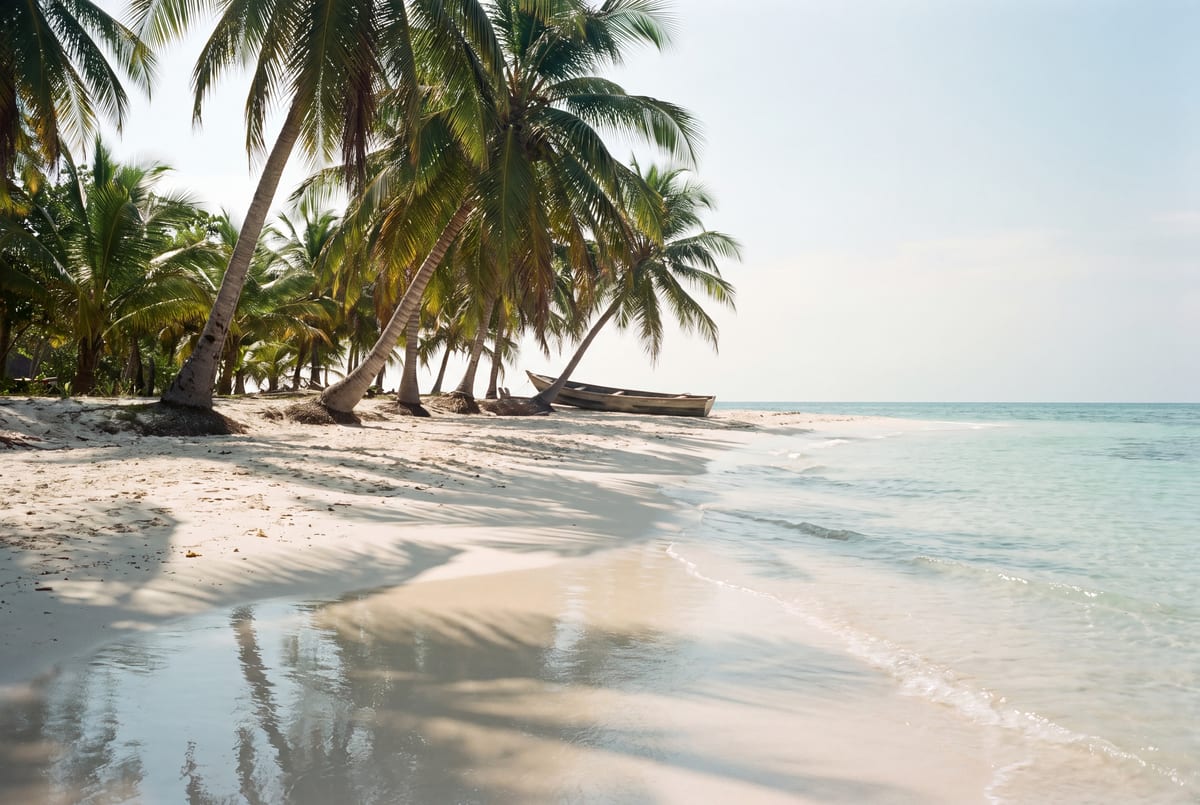 White sand and palm shade at the quiet end of Playa Blanca on Bar&uacute;