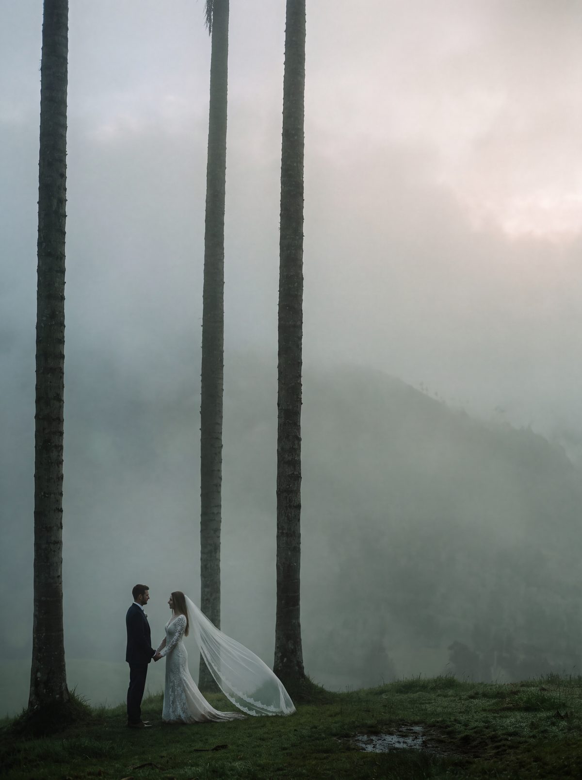 Couple beneath the wax palms of the Valle de Cocora in morning mist