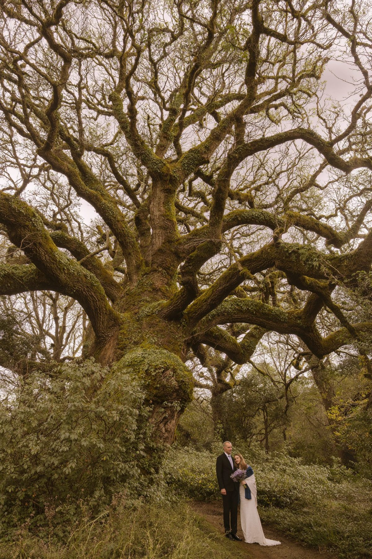 An elopement in Canada photographed by Arman Arai