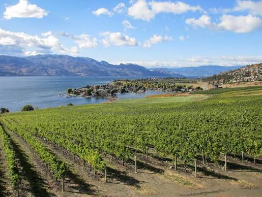 The Okanagan