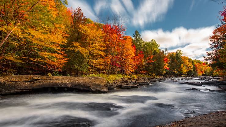 Muskoka