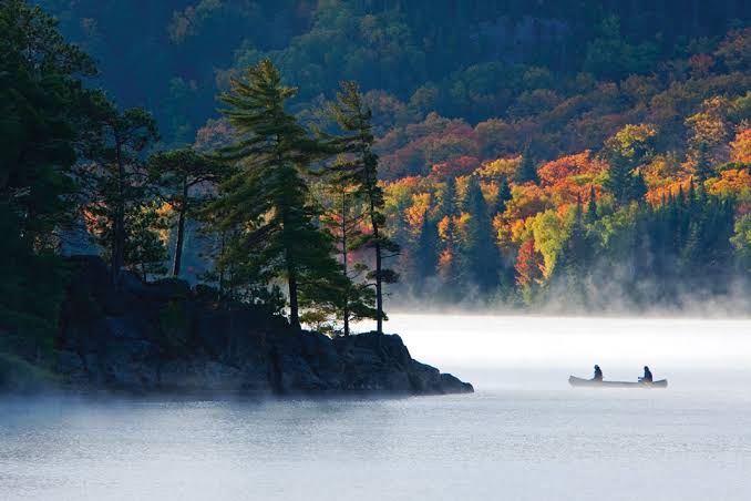Algonquin