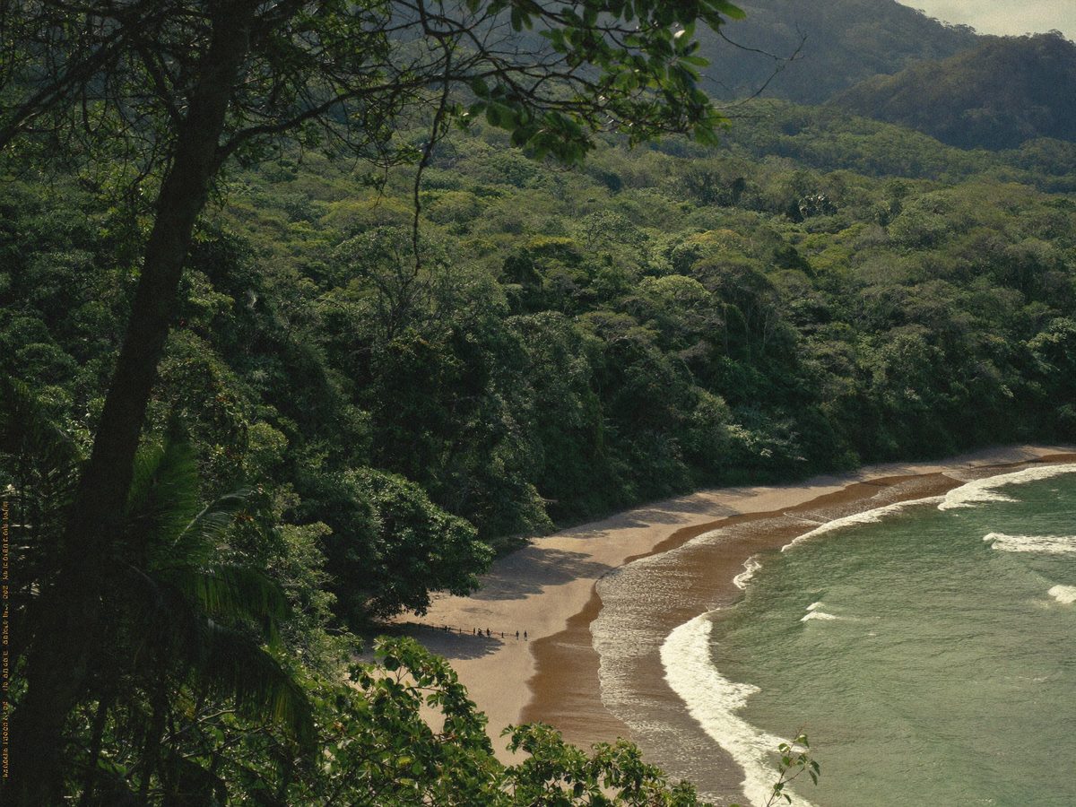 Corcovado frame