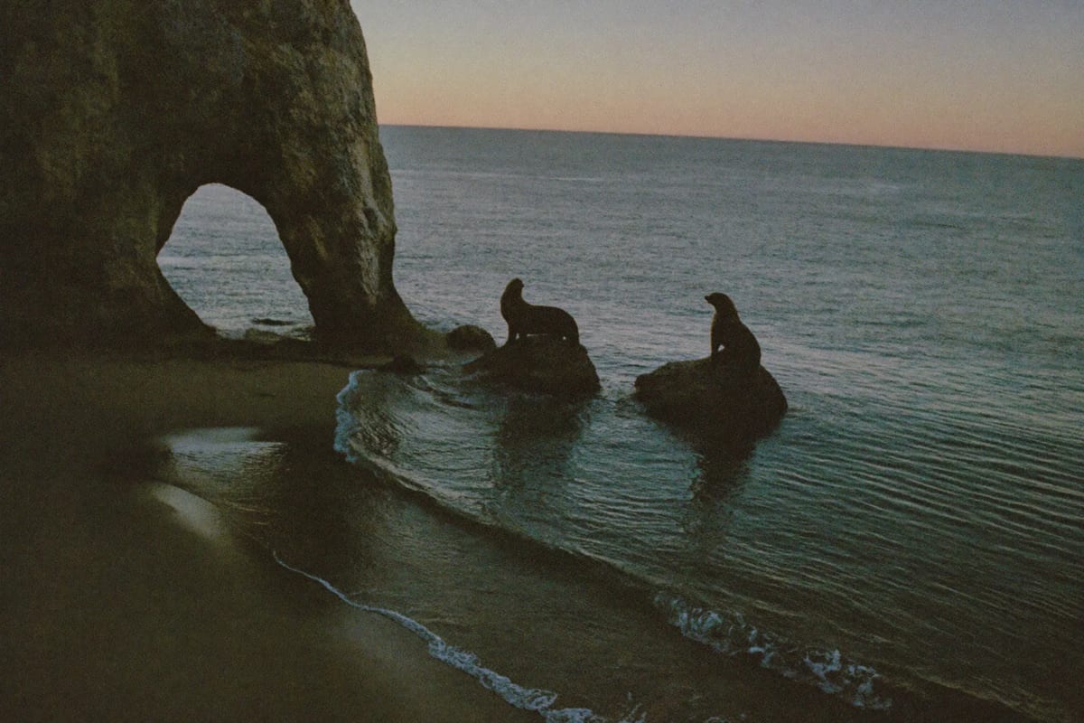 The arch at Land's End, Los Cabos