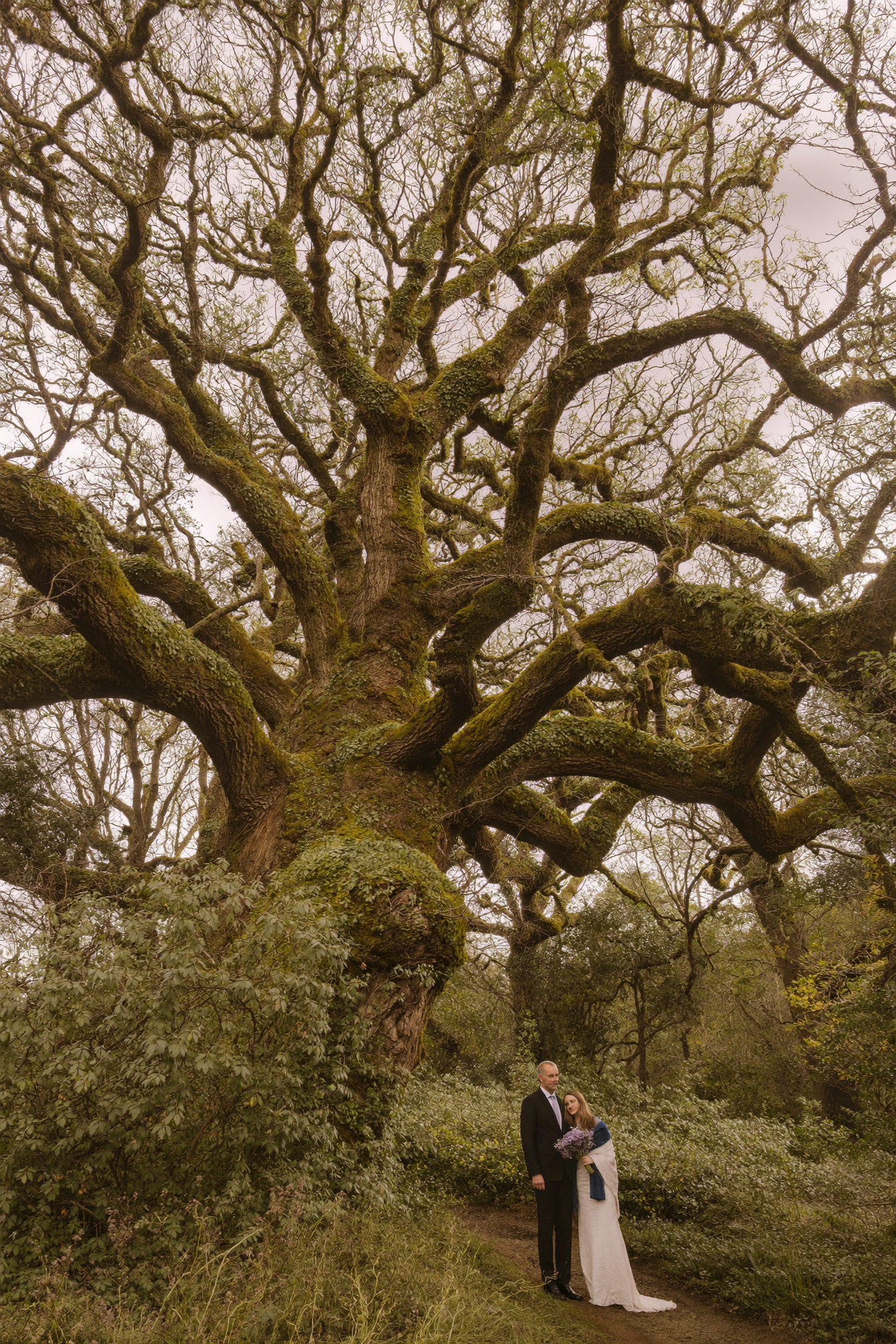 Sample of the photographer's work